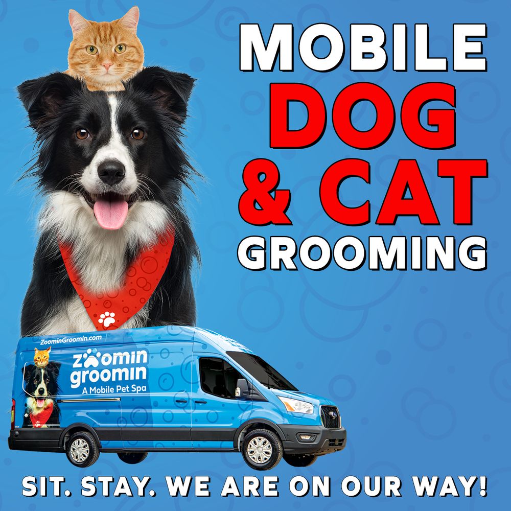 Paw Spa Valerie's Mobile Dog Grooming Cat Grooming Perfect