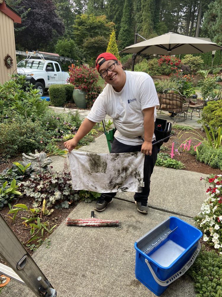 Window Cleaning & More