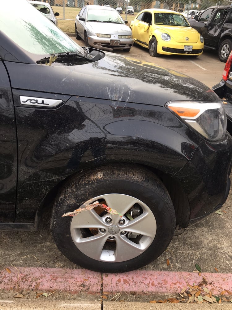 Busy Body's Auto Painting & Collision Repair