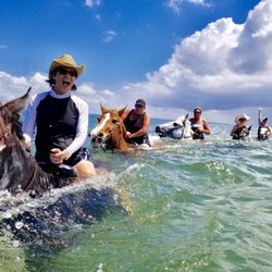 Cypress Breeze Beach Horseback Rides 13 Photos Riding Photo Of Cypress Breeze Beach Horseback Rides Saint Petersburg Fl United States