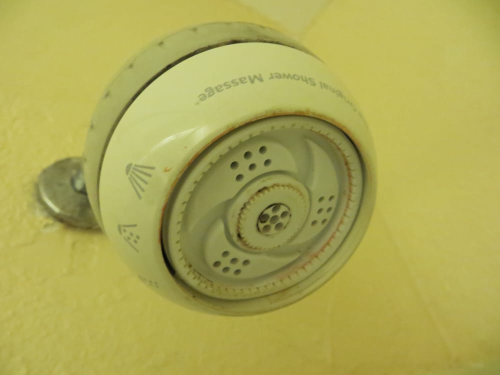 Mold In Shower Head broken shower head (the ring where settings are selected just Mold In Shower Head broken shower head (the ring where settings are selected just