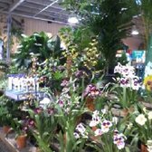 Armstrong Garden Centers 78 Photos 71 Reviews Nurseries Photo Of Armstrong Garden Centers Dublin Ca United States Indoor Plants