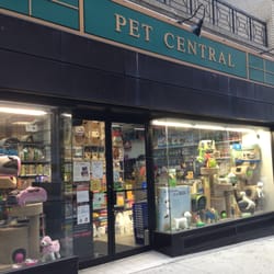 pet central 20 reviews pet stores 193 madison ave pet central 20 reviews pet stores 193 madison ave