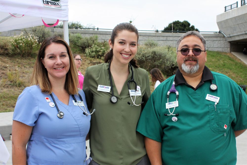 Alley Cat Small Animal Hospital 42 Photos & 36 Reviews