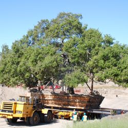 Brightview Tree Company Nurseries Gardening 3200 W Telegraph Photo Of Brightview Tree Company Fillmore Ca United States