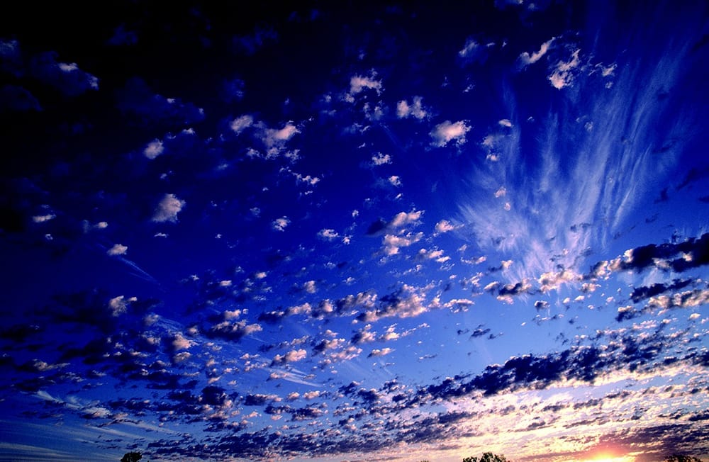 Electric Showers Irrigation