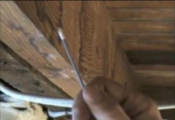 Healthy Home Mold Inspection