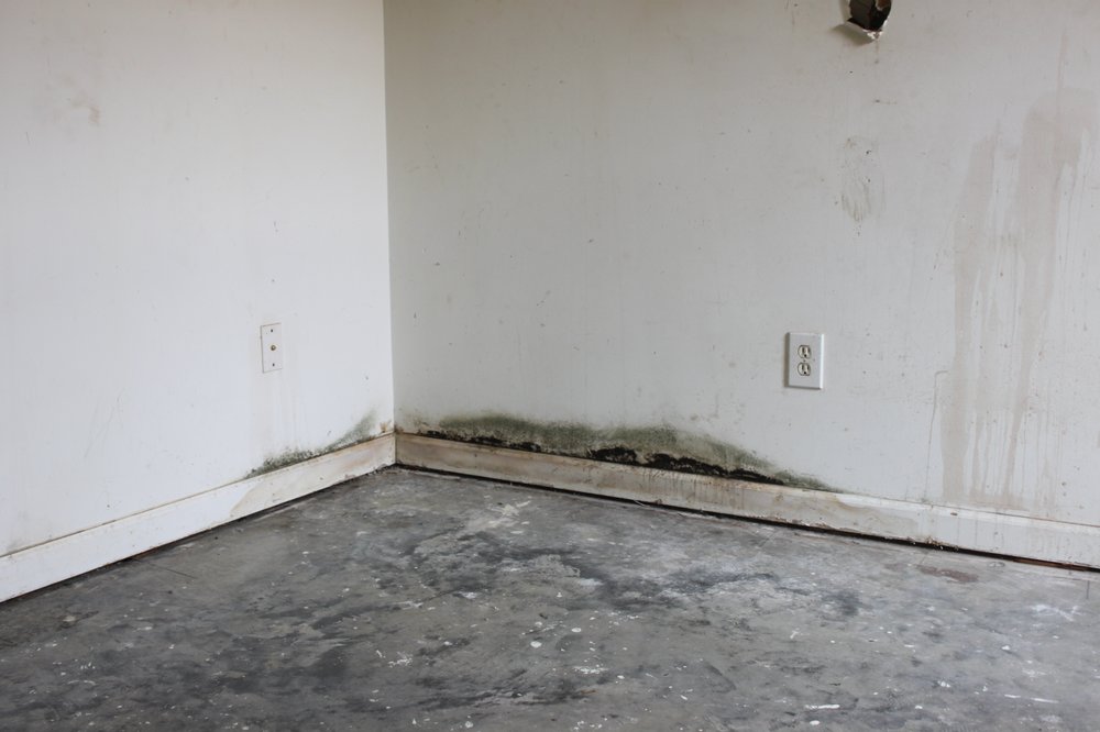 Water Damage Black Mold Along Wall Yelp Photo Of Atlanta Mold Testing Services Ga United States Water Damage
