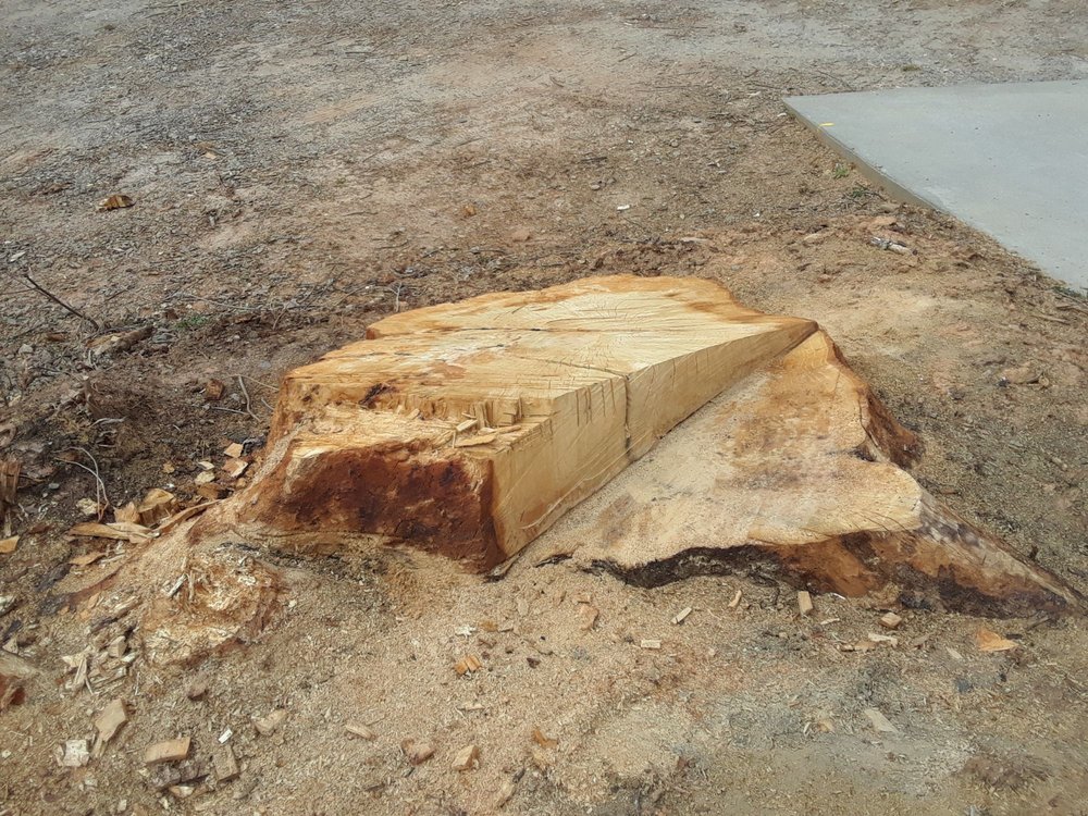 Newcomb Tree Service