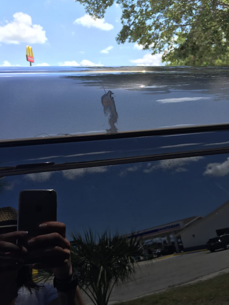 Avis Rent A Car 33 Reviews Car Rental 11005 Terminal Access Rd