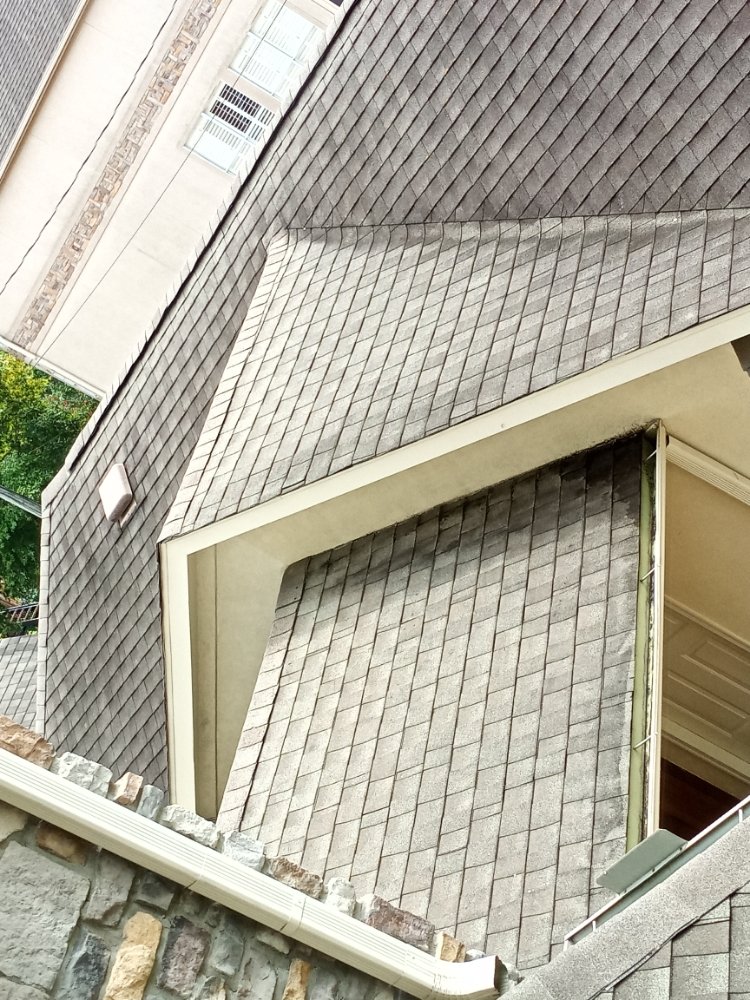 image of business Gaia All In One Handyman