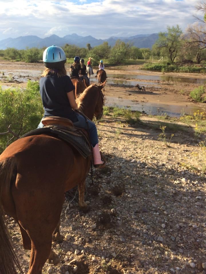 Houston’s Horseback Riding Horseback Riding 12801 E Speedway