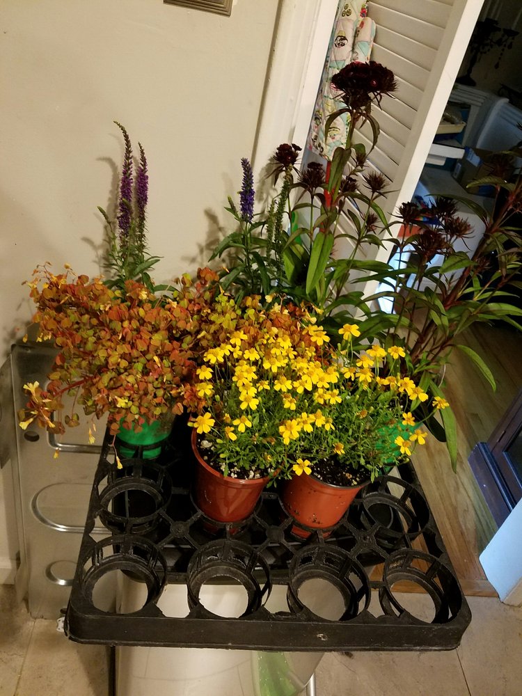 Certified Plant Growers 10 Photos &amp; 11 Reviews