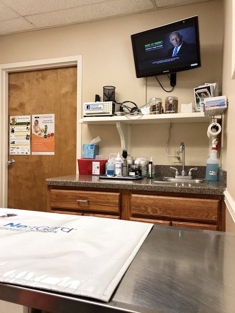 VCA Todds Lane Animal Hospital 20 Photos & 23 Reviews Veterinarians