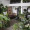 Urban Earth - 24 Photos & 42 Reviews - Nurseries & Gardening - 1051 N