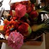 Las Chicas Fresas