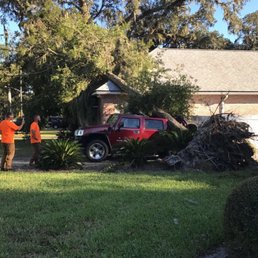 diversified property works 59 photos tree services pensacola 90 works pensacola fl