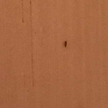 Summit Inn Hotel 11 Photos Hotels 351 E Township Line Rd Photo Of Summit Inn Hotel Upper Darby Pa United States A Huge
