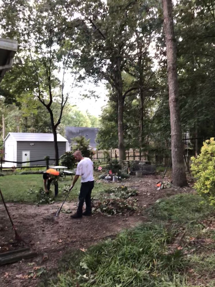 Wheeley Tree Service