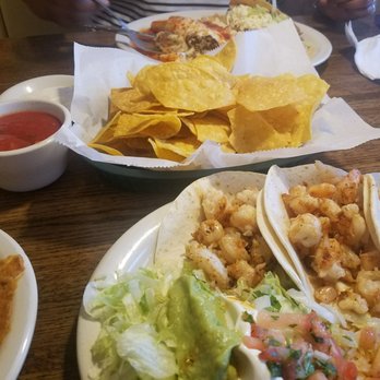 El Loro Mexican Grill Cantina 58 Photos 64 Reviews Photo Of El Loro Mexican Grill Cantina Bloomington Mn United States