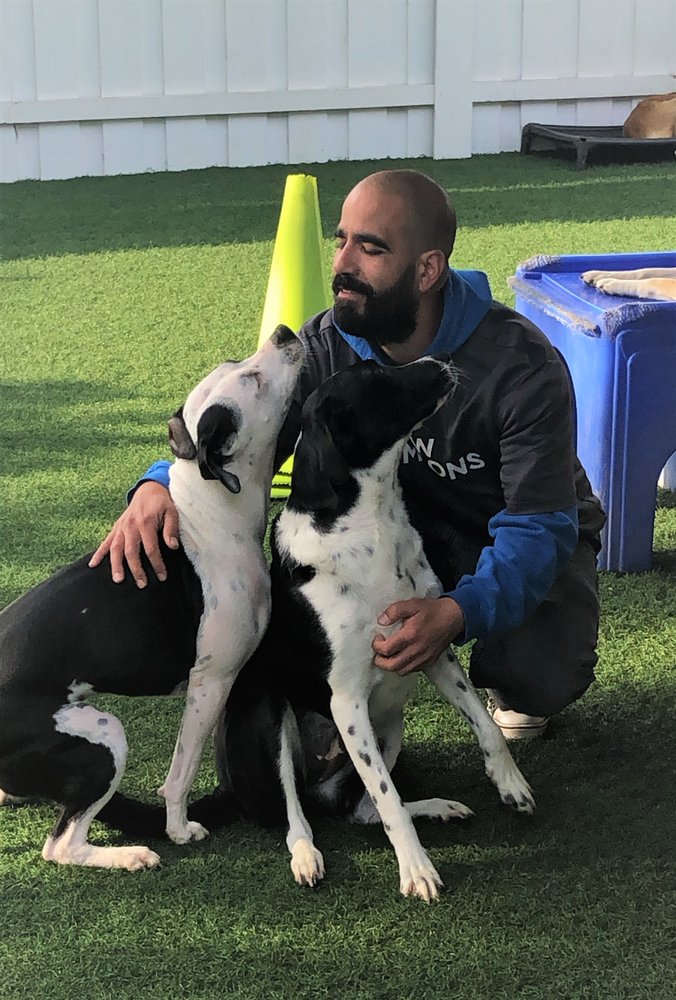 Paw Commons Pet Resort - Hillcrest