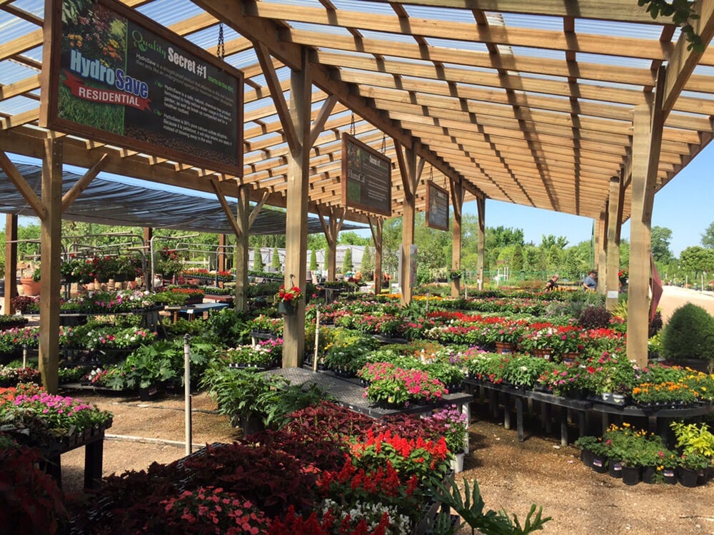 Shades of Texas 11 Photos Nurseries & Gardening 2618 Genoa Red