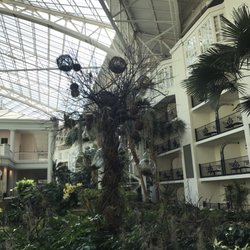 Opryland Hotel Hotels 2800 Dr Donelson Nashville Photo Of Opryland Hotel Nashville Tn United States Serene Grounds
