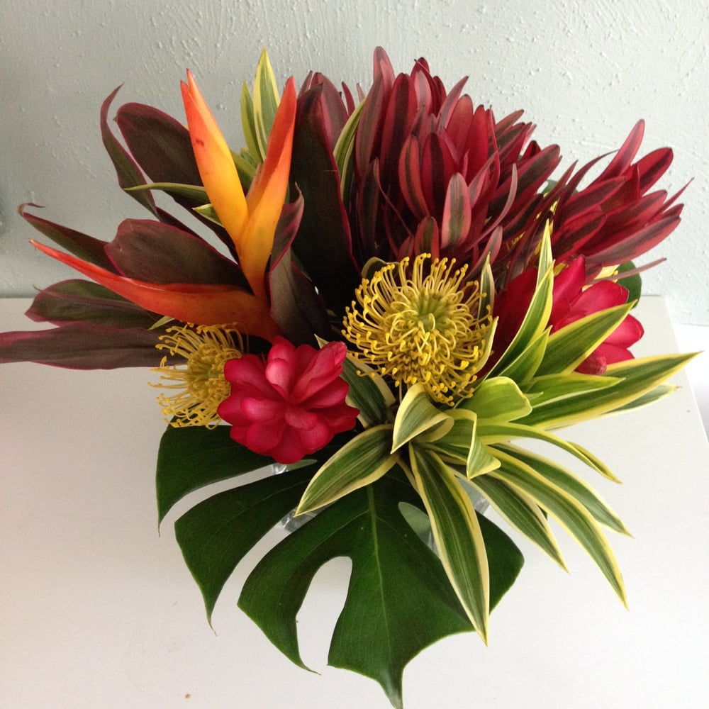 Urban Petals 23 Photos Florists 4415 14th St NW, Washington, DC