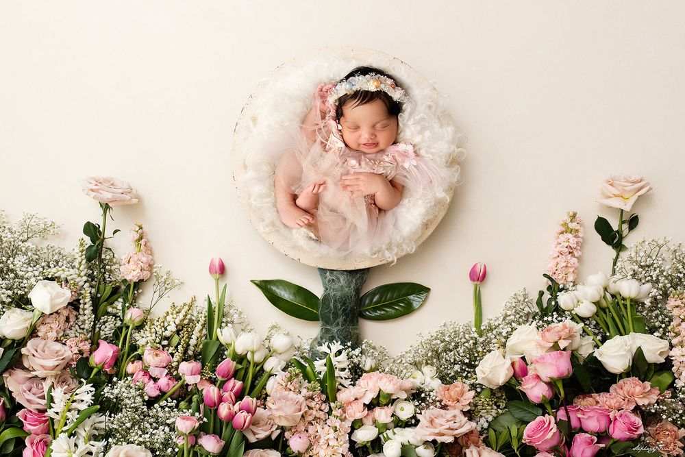Stephany Ficut Photography