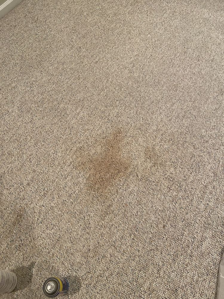 Heaven's Best Carpet Cleaning