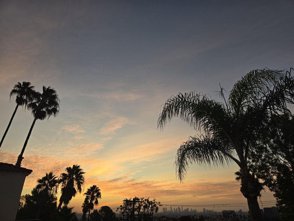 Hollywood Hills Recovery