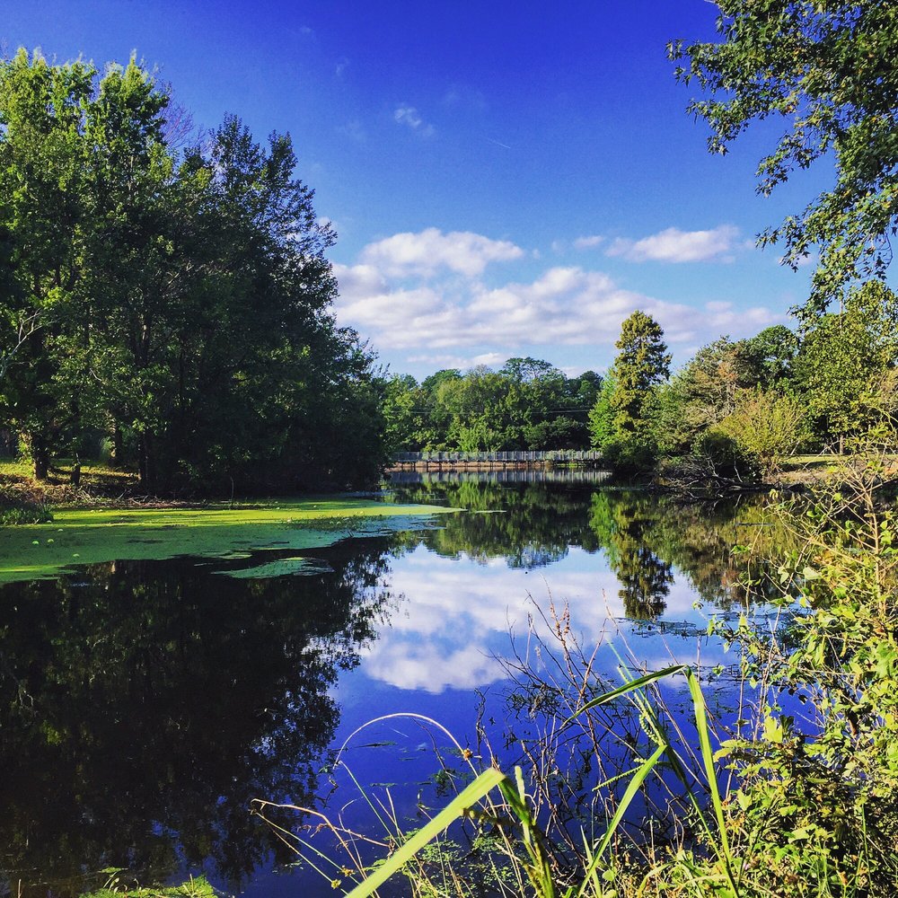 Bayville Farms Park 146 Photos & 21 Reviews Disc Golf 4132 First