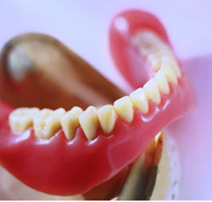 image of business Harrison Phillip, DDS