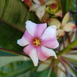 Top Tropicals 32 Photos Nurseries Gardening 13890 Orange Top Tropicals 32 Photos Nurseries Gardening 13890 Orange River Blvd Fort Myers Fl Phone Number Last Updated December 19 2018 Yelp