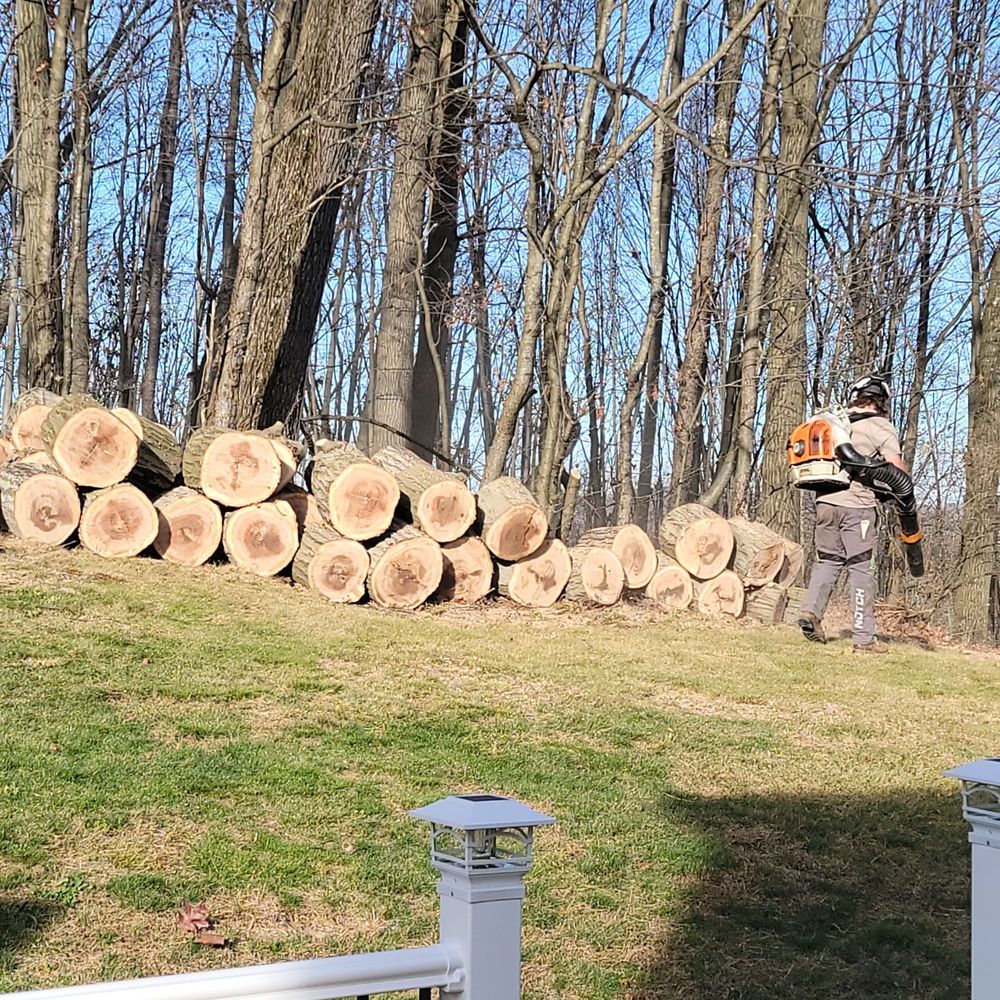 WildMiller Tree Service
