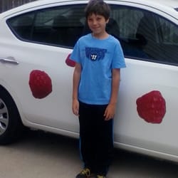 red raspberries pest solutions Pest Control Melrose Park Pest Control Melrose Park red raspberries pest solutions
