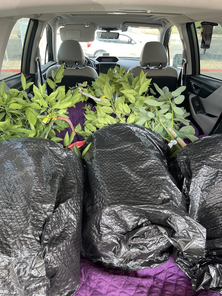 Paradise Nursery