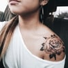 Ms