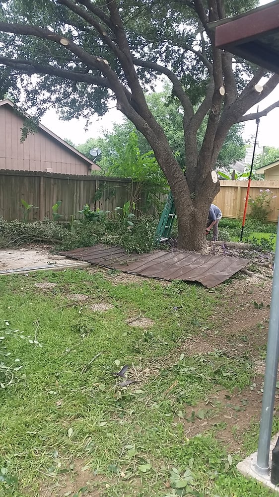 Katy Yard Pro