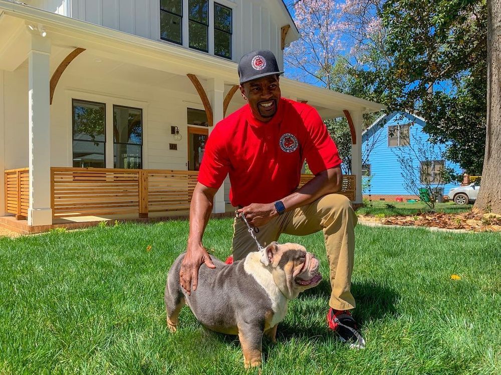 Bulldog Window Cleaning