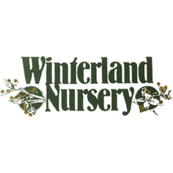 Winterland Nursery Nurseries Gardening 5655 Lincoln Rd Winterland Nursery Nurseries Gardening 5655 Lincoln Rd