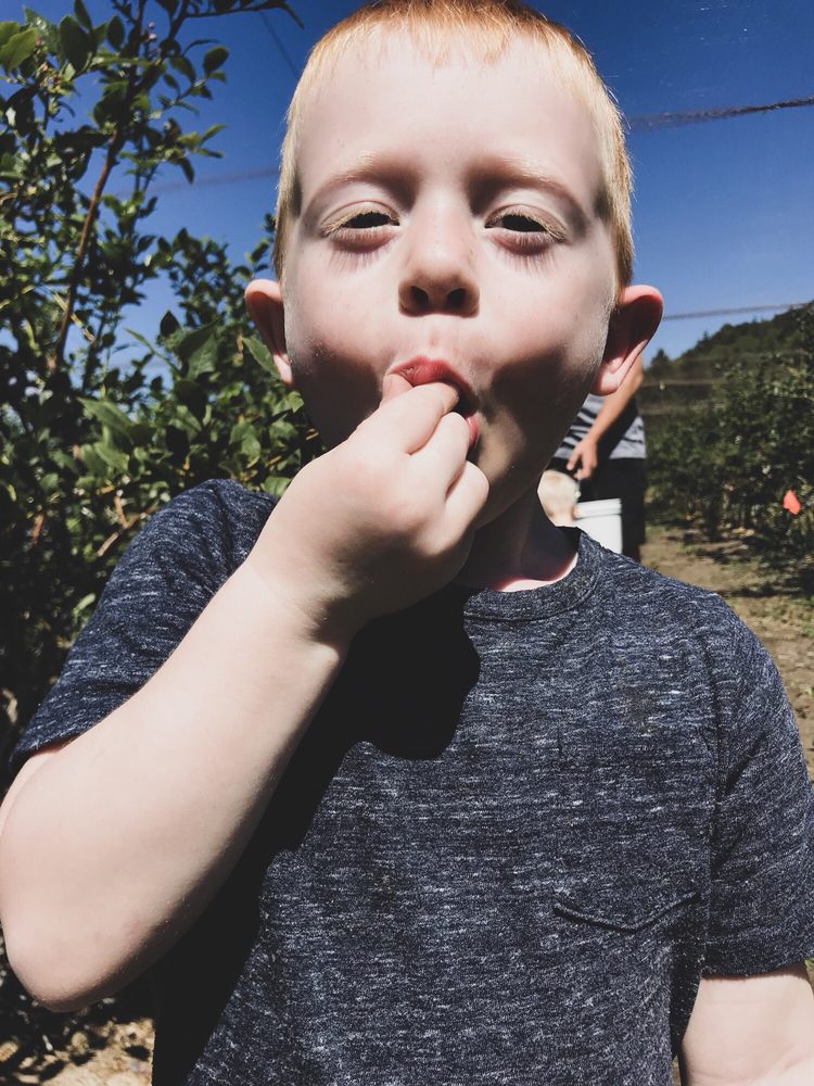 Spooner Berry Farms 13 Photos & 19 Reviews Farmers Market 3327