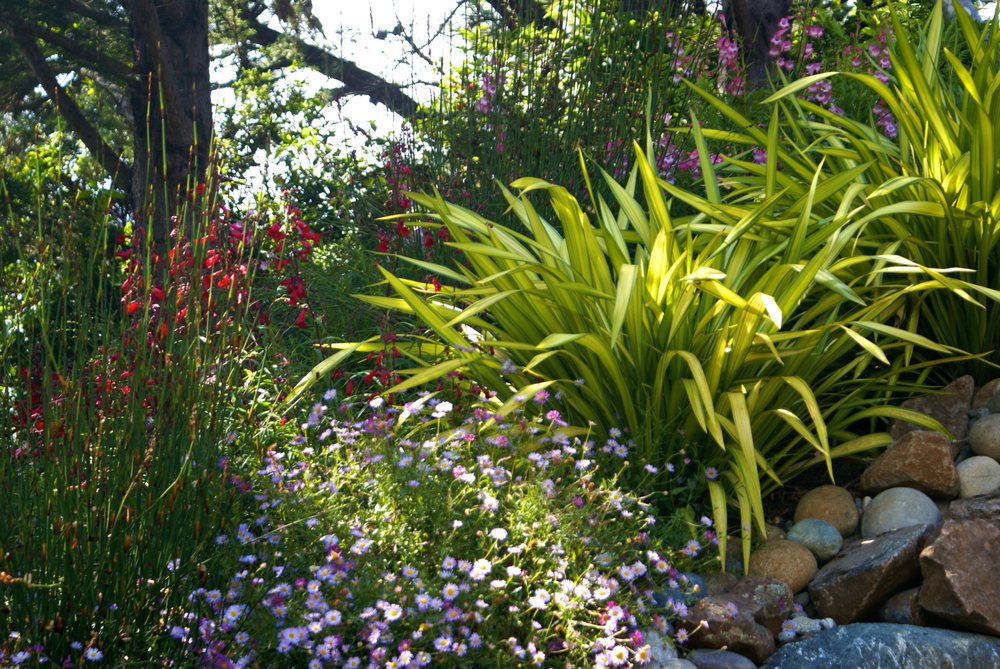 Close Up Of Waterfall Reception Area At Wedding Venue Yelp Photo Of Deanna Foster Landscape Design Los Angeles Ca United States Close