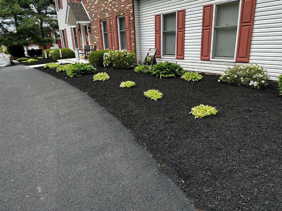 Clean Cut Landscaping