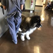 Access Woodland Hills >> Access Specialty Animal Hospital 108 Photos 486 Reviews Access Woodland Hills >> Access Specialty Animal Hospital 108 Photos 486 Reviews