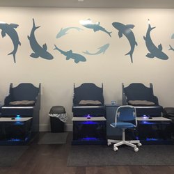 Garra Fish Spa 10 Photos Day Spas 27001 Us Hwy 19 N Photo Of Garra Fish Spa Clearwater Fl United States