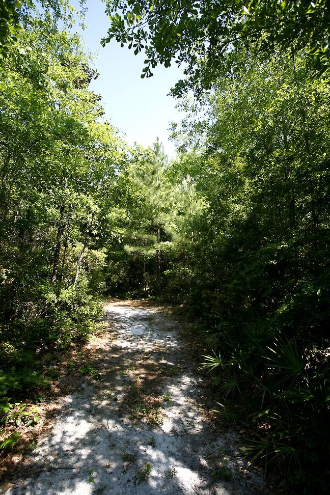 Mill Creek Preserve Hiking Cr 241 And Cr 236, Alachua, FL Yelp