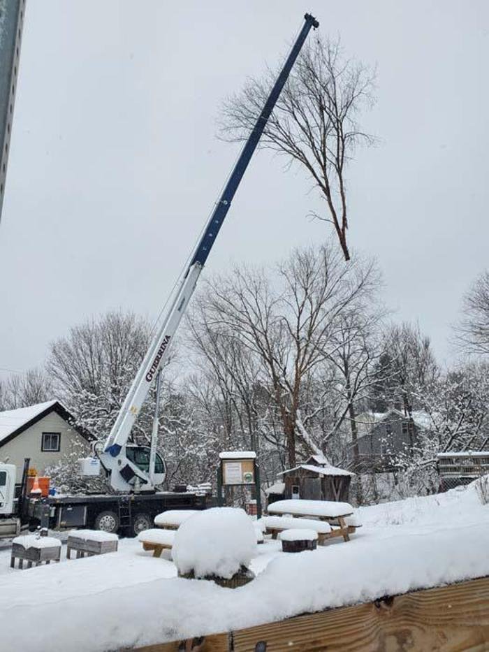 Fellers Tree Removal