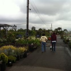 Moneta Nursery Thenurseries Moneta Nursery Thenurseries
