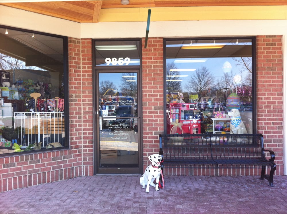 Great Dogs of Great Falls 12 Photos & 20 Reviews Pet Stores 9859